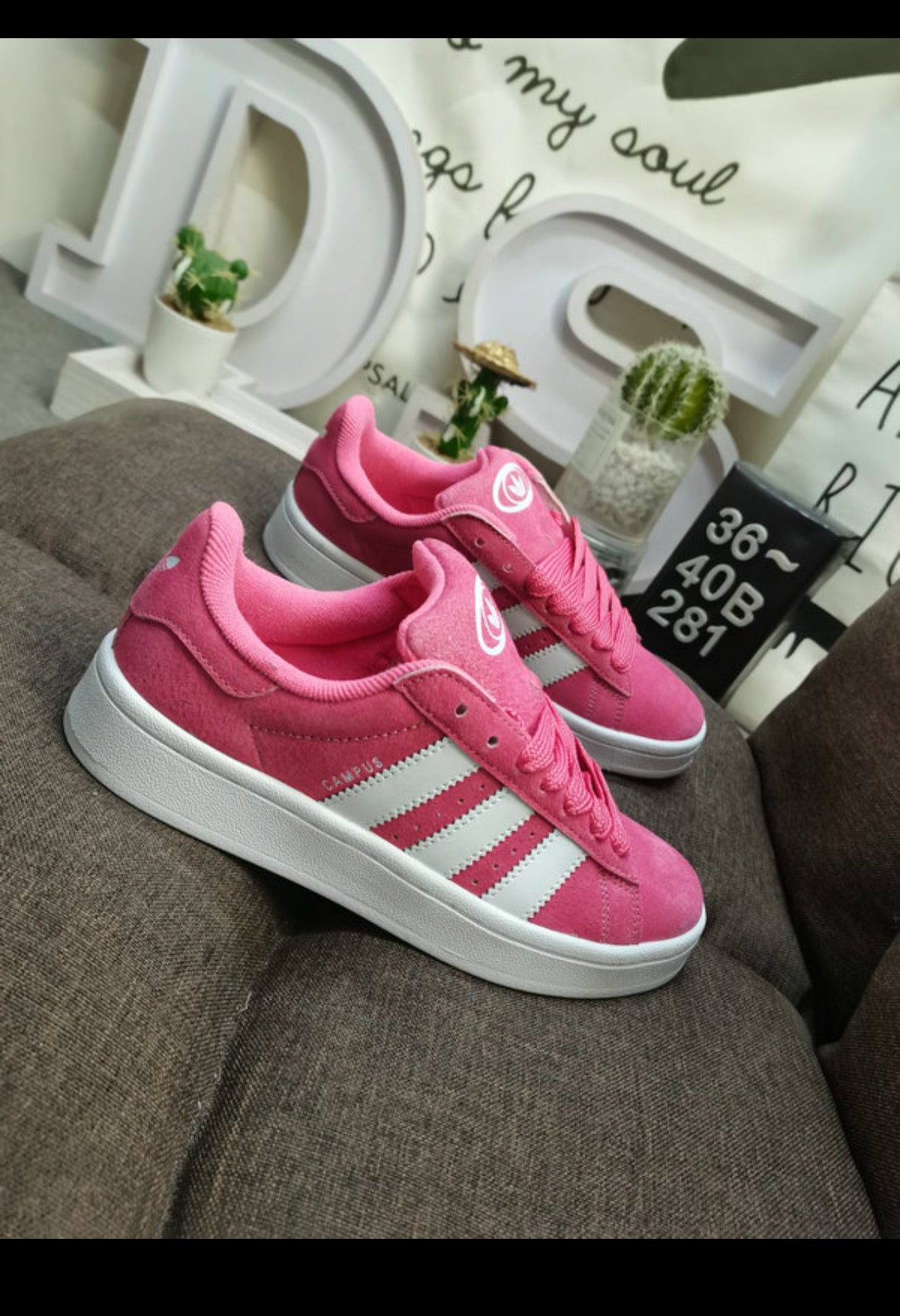 Campus Pink and White
